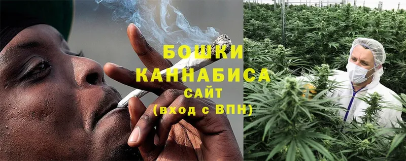 Бошки Шишки SATIVA & INDICA  хочу   Котельники 